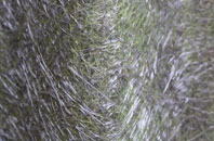 Carshalton On The Hill fibreglass roof work